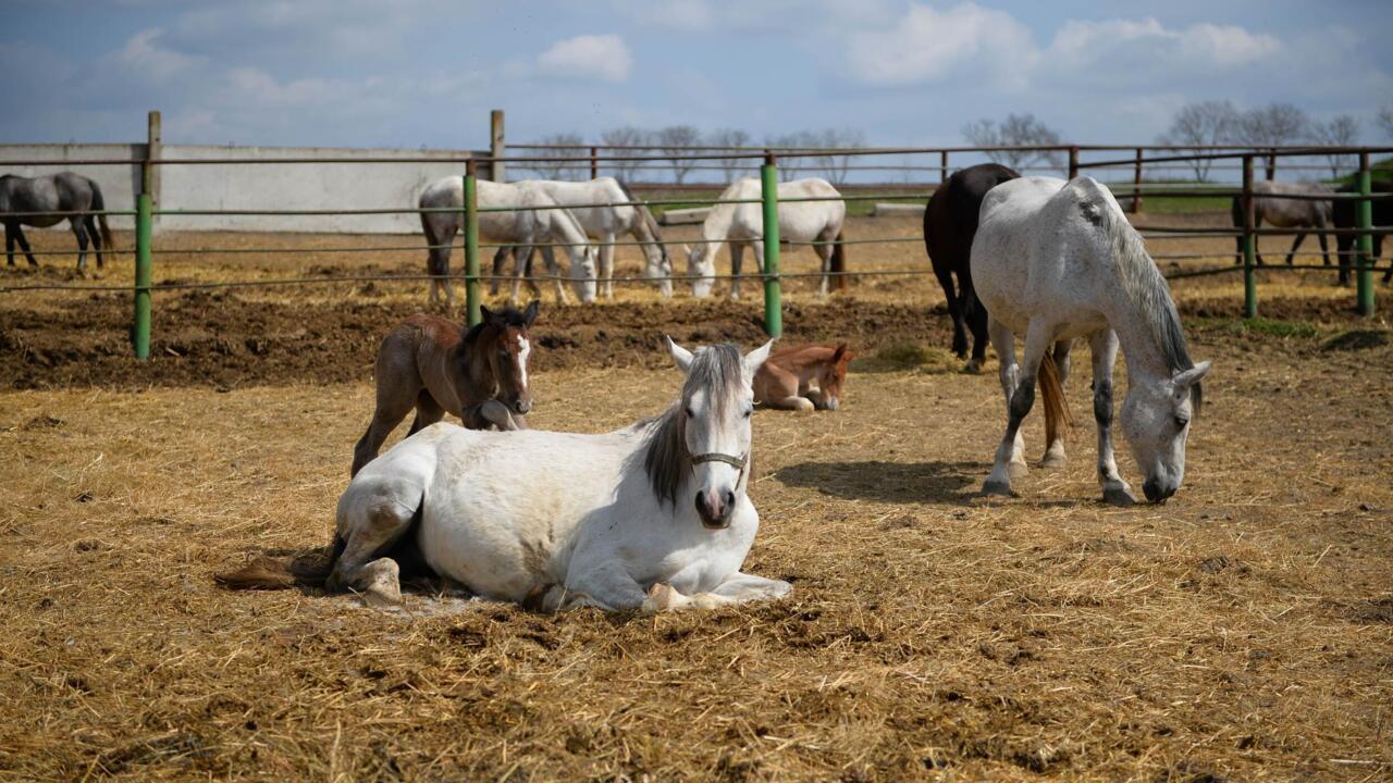 d301773844fcca21b69f1365cf16fb09696a7742